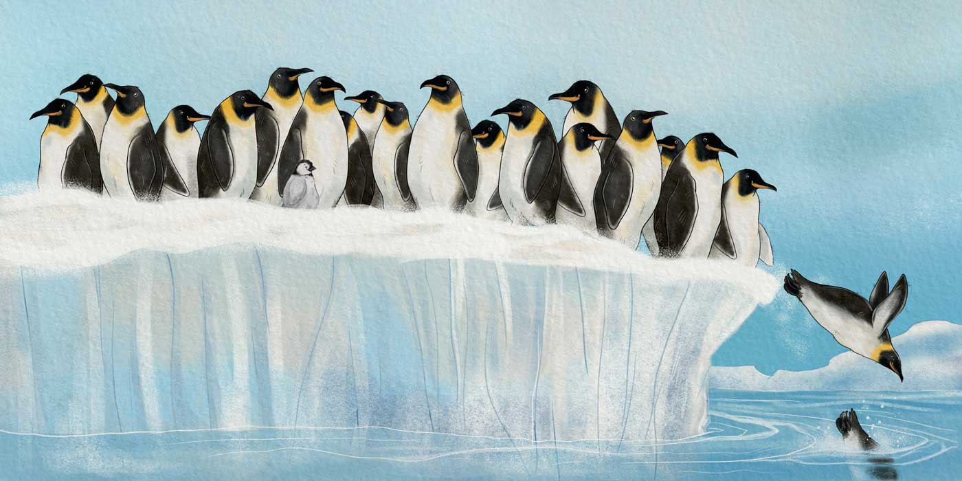 kinderbuchillustrationen illustrieren Pinguin