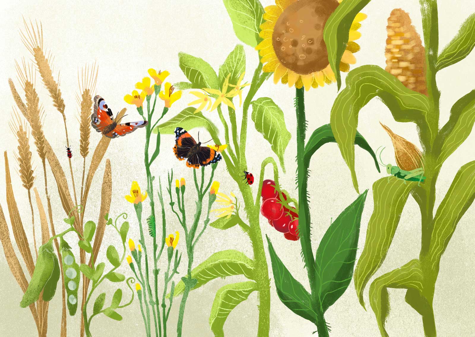 natur Blumen illustration illustrieren kinderbuch